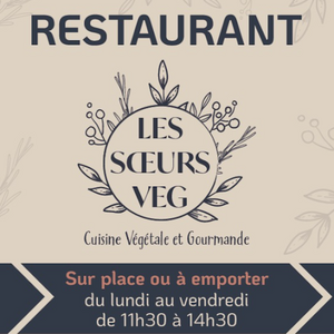 Les Sœurs Veg Cornebarrieu, Professionnel indépendant