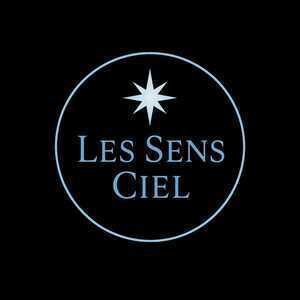 Patricia Pons Bouleternère, Professionnel indépendant